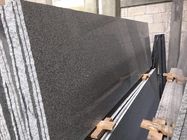 G654 Granite Material Slabs of Natural Stone / کاشی های طبیعی سنگی