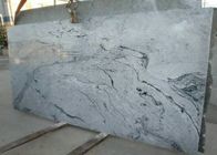 وین های خاکستری سنگ های طبیعی سنگی کاشی های دیواری 2.95 تراکم گرانیت بالا