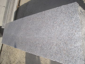 GranitE G383 Material Bianco Antico گرانیت اسلب گل خاکستری مروارید رنگ